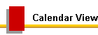 Calendar View